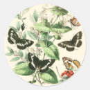 Search for vision studio stickers Butterflies