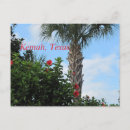 Search for kemah Travel