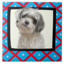 Search for photo frame tiles Pattern