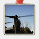 Search for osprey christmas tree decorations Mv 22