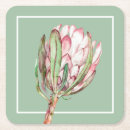 Search for protea coasters Botanical