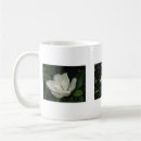 Search for magnolia flower mugs Photography