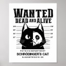 Search for cat wanted posters Alive