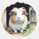 Search for cute guinea pig stickers Rodent