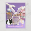 Search for the easter kitty postcards Bunny
