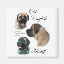 Search for mastiffs magnets Old english mastiff