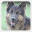 Search for german photography Nature