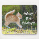 Search for surprising mouse mats Cute