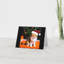 Search for cats wearing hats christmas cards Kittens