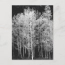 Search for black and white photography postcards Outdoors