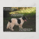 Search for basset dog postcards Dogs