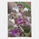 Search for vanda Orchid