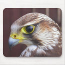 Search for falcon mouse mats Predator