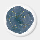 Search for sagittarius magnets Celestial