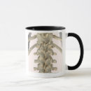 Search for vertebra mugs Medical