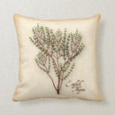 Search for vegan cushions Organic
