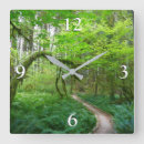 Search for old growth forest art National park