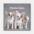 Search for pedigree dog magnets Breed