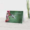 Search for hummingbird christmas cards Nature