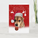 Search for veterinarian christmas cards Cute
