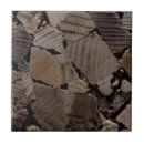 Search for wood pattern tiles Tree