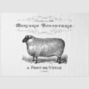 Search for french tissue paper Typography