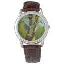 Search for mantis accessories Green