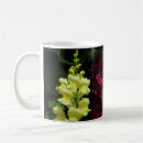 Search for fuschia drinkware Flower
