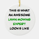 Search for lawn care christmas tree decorations Mowing