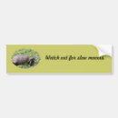 Search for tortoise bumper stickers Turtle