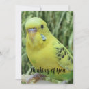 Search for missing you invitations Thinking