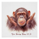 Search for chimp art Humor