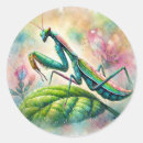 Search for mantis stickers Green