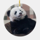 Search for panda bear christmas tree decorations Black and white