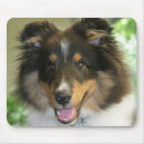 Search for sheltie mouse mats Animals