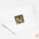 Search for baby wolf stickers Wolves