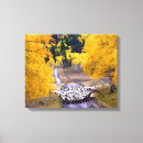 Search for country canvas prints Sheep