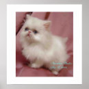 Search for twinkle little star posters Cute