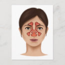 Search for sinus postcards Medicine