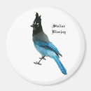 Search for jay magnets Nature