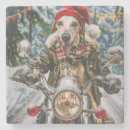 Search for greyhound dog coasters Animal