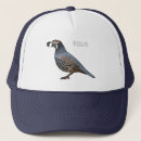 Search for quails hats California quail