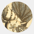 Search for algae stickers Sand dollar