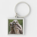 Search for horned key rings Nature