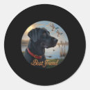 Search for labrador duck stickers America