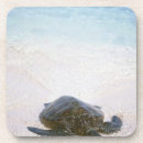 Search for tropical climate barware Nature