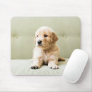 Search for golden retriever puppy mouse mats Animal