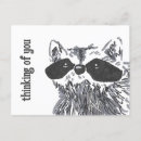 Search for racoon postcards Woodland