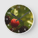 Search for medium clocks Nature