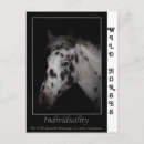 Search for individual postcards White